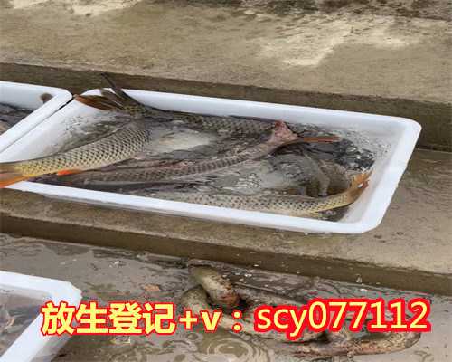 苏州哪里可以放生鱼类的，江苏苏州圣堂