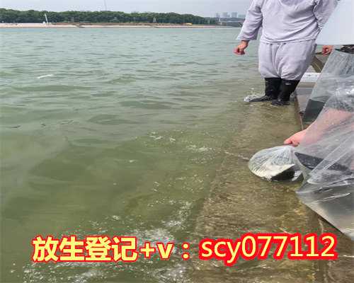 南京在哪里放生比较好一点，江苏南京市民租船放生鱼引江豚争抢觅食